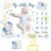 Milestone Baby Blanket